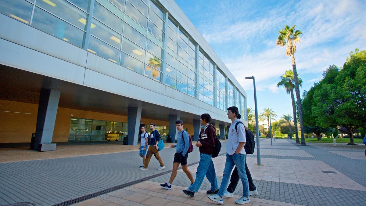 Imagen de la Biblioteca Universitaria, donde se desarrollarán los laboratorios de innovación social de la Universidad de Alicante.