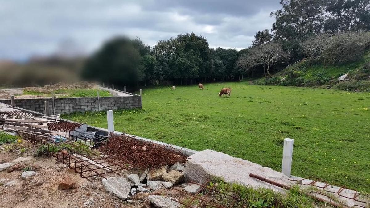 Las "vecinas" que tendrá Ana Peleteiro en su nueva casa