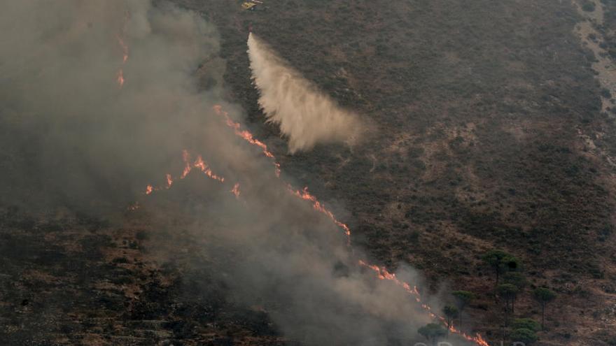 El incendio de La Nucía, extinguido tras quemar 6.000 metros cuadrados de cañar