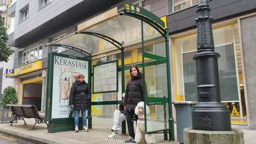 Las mascotas podrán viajar en los autobuses urbanos de Oviedo si cumplen estos requisitos