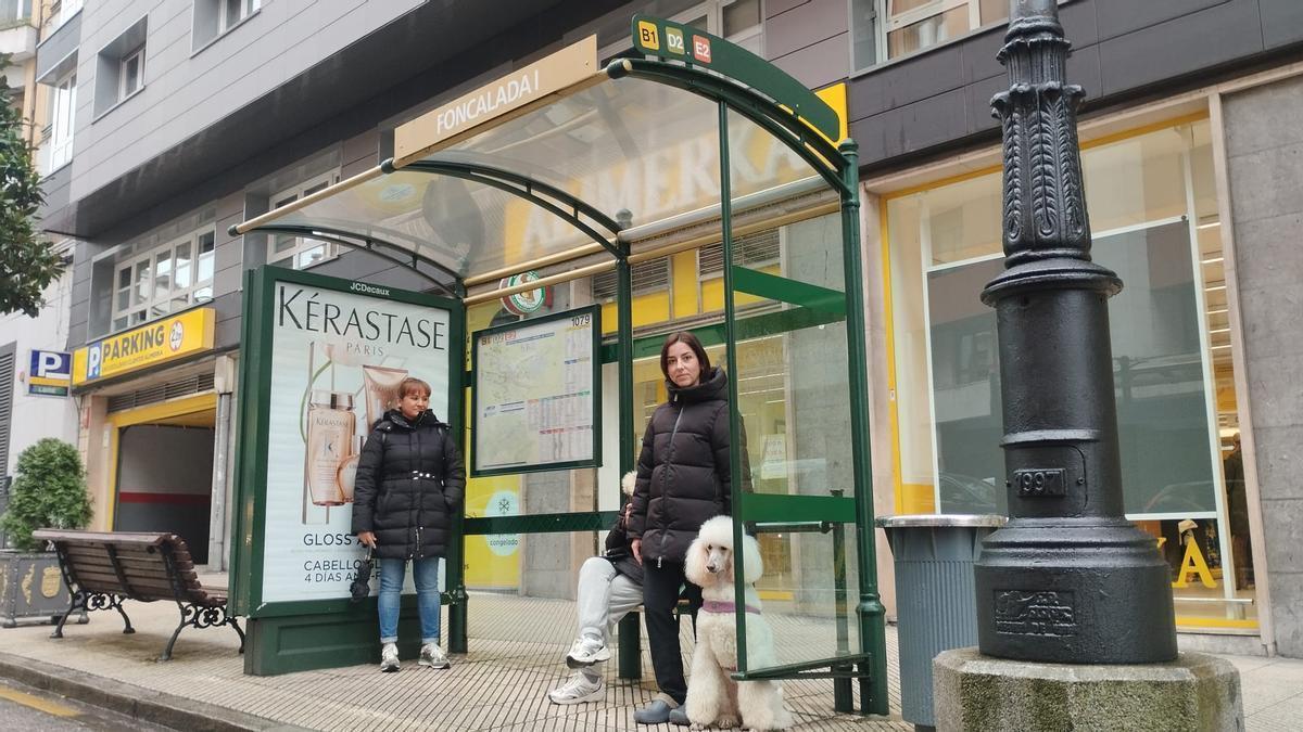 Las mascotas podrán viajar en los autobuses urbanos de Oviedo si cumplen estos requisitos