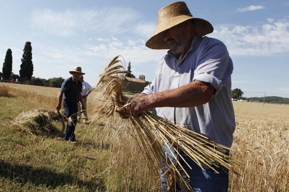 Festa del Segar i el Batre a Avià