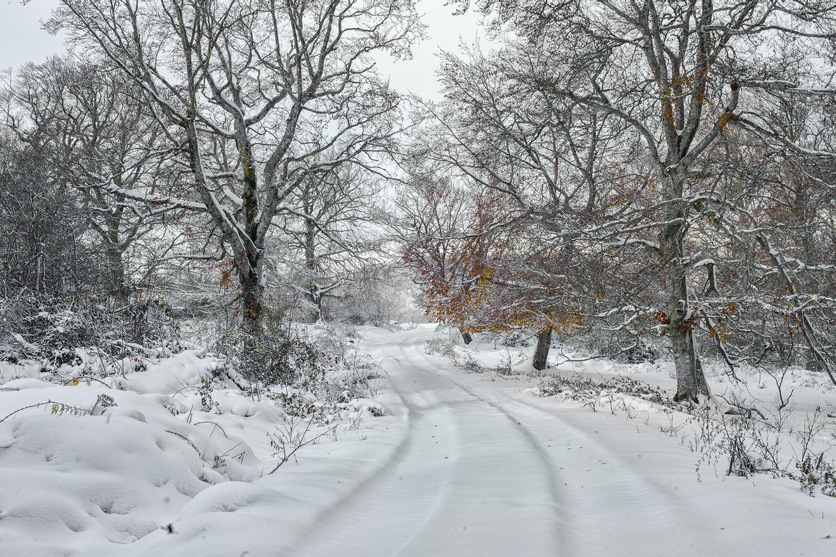 El frío va a más: España no saldrá del congelador hasta marzo