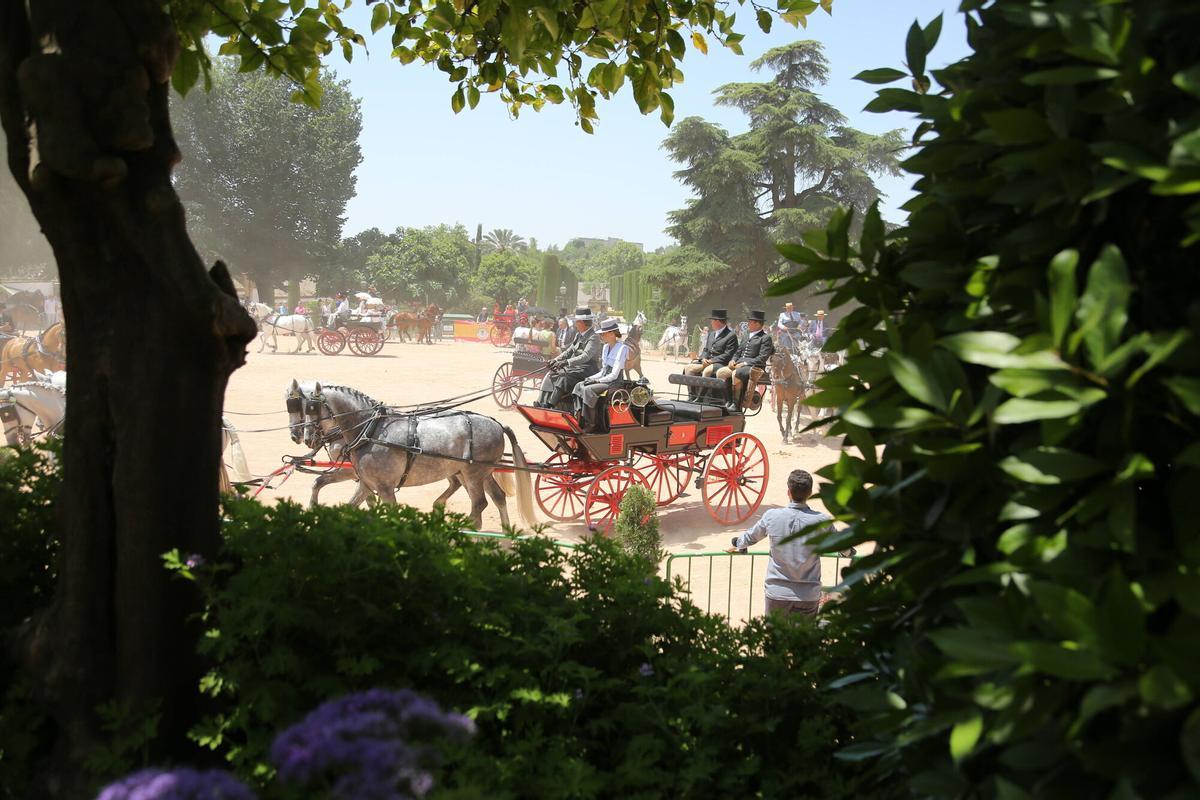 El arte ecuestre toma los Jardines del Alcázar de los Reyes Cristianos para dar el pistoletazo de salida a la Feria de Nuestra Señora de la Salud