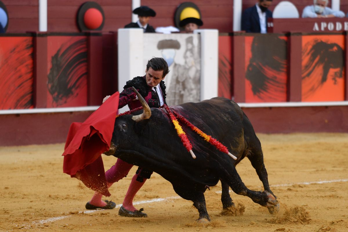 Los toros vuelven a La Malagueta