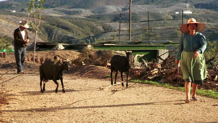 Los murcianos, los que más se plantean volver a vivir en el campo