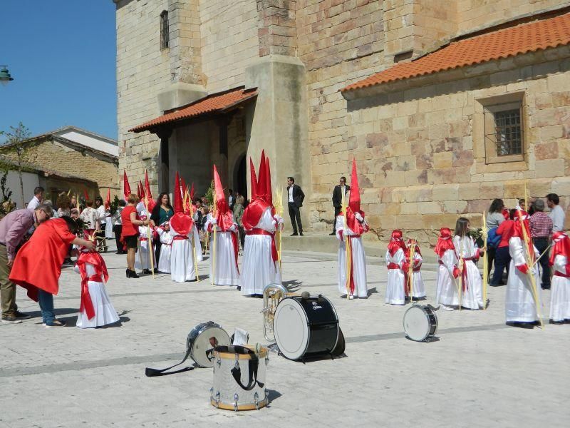 Procesión de Domingo de Ramos en Villaralbo