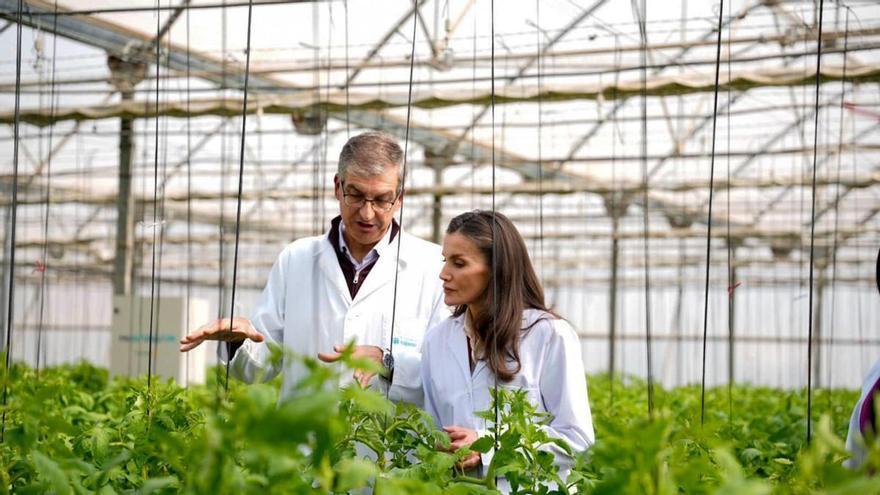 La reina Letizia recorre en Almería el mayor laboratorio de innovación agrícola del Mediterráneo