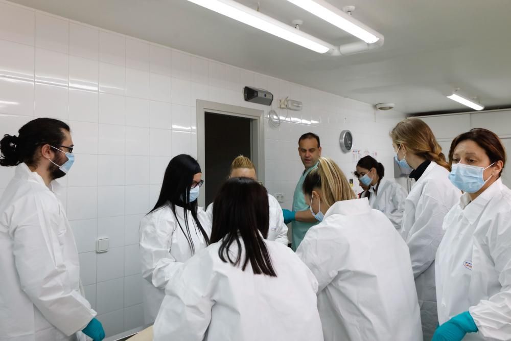 Siete mujeres y un hombre comenzaron la formación ayer y sorprendieron al experto por su «tranquilidad» y «naturalidad» a la hora de trabajar con cuerpos sin vida por primera vez