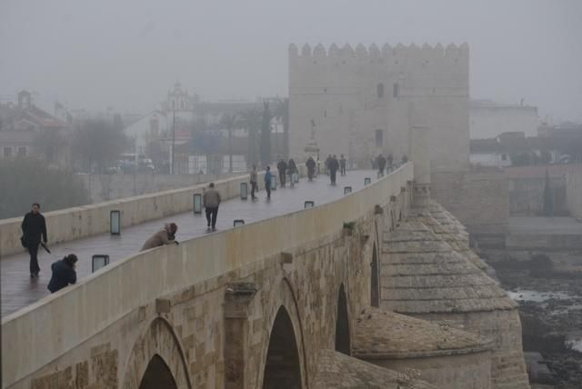 FOTOGALERÍA / Una densa niebla despierta Córdoba