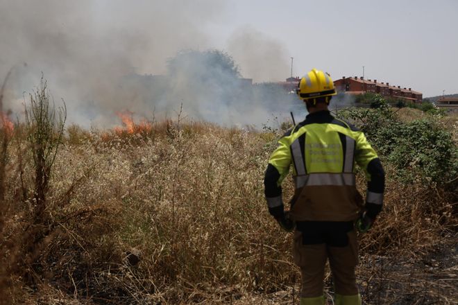 El Incendio en el Cerro de los Pinos, en imágenes