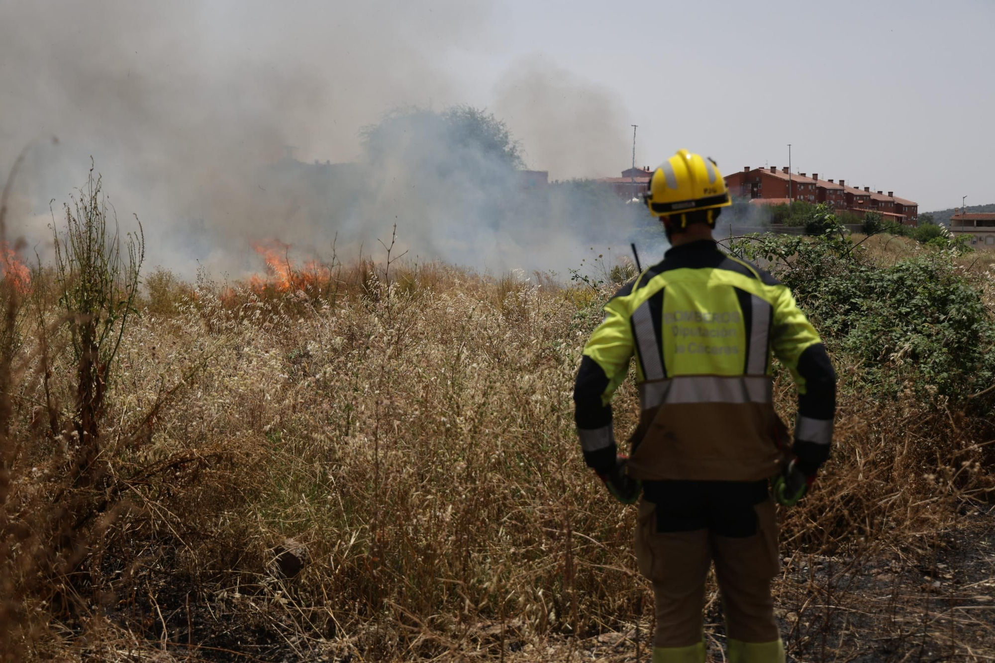 El Incendio en el Cerro de los Pinos, en imágenes