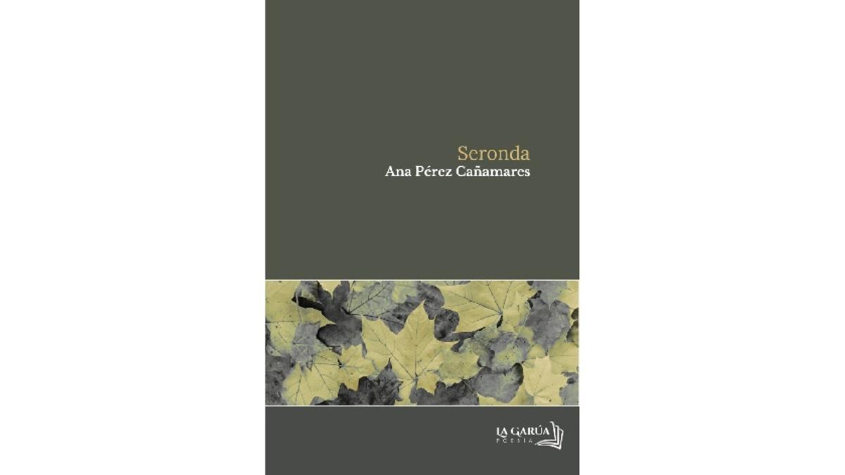 Versos sobre La penúltima etapa de la vida