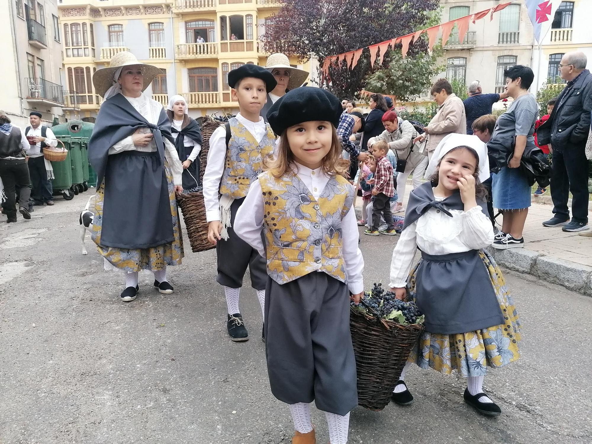 GALERÍA | Toro recrea la vendimia tradicional en el desfile de carros