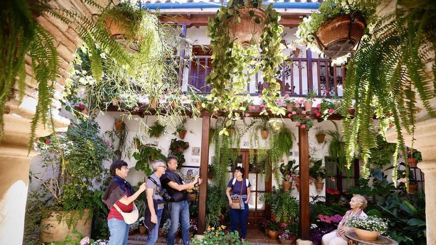 Secretos y curiosidades desde el Olimpo de los Patios de Córdoba, los cinco recintos más premiados del concurso