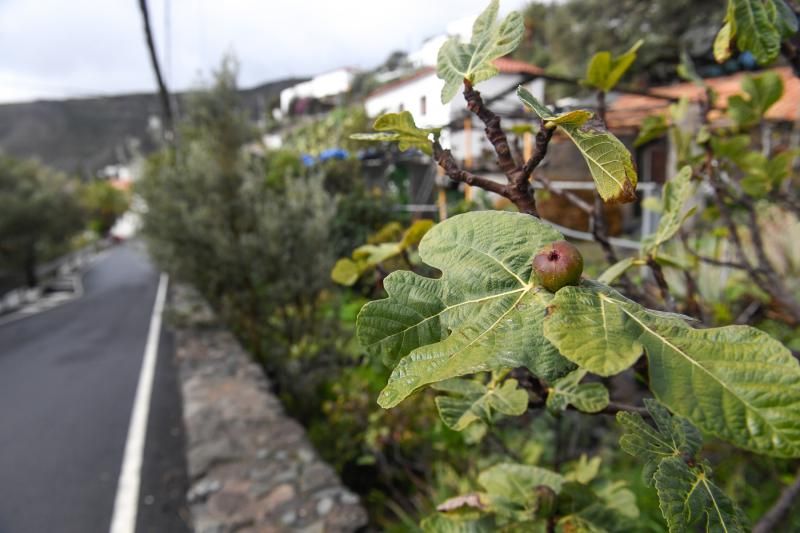 Balance de las últimas lluvias en el Sureste grancanario