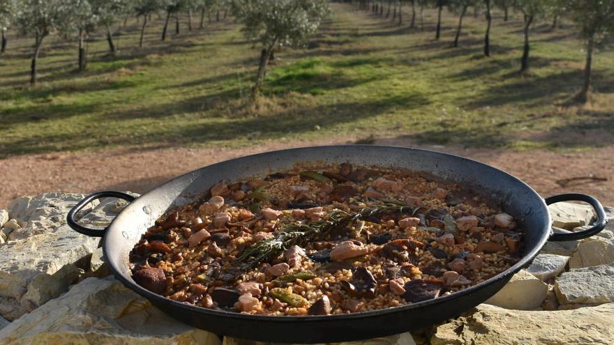 Paella en Olioli Biodinámico, la almazara requenense donde se realizan visitas y catas