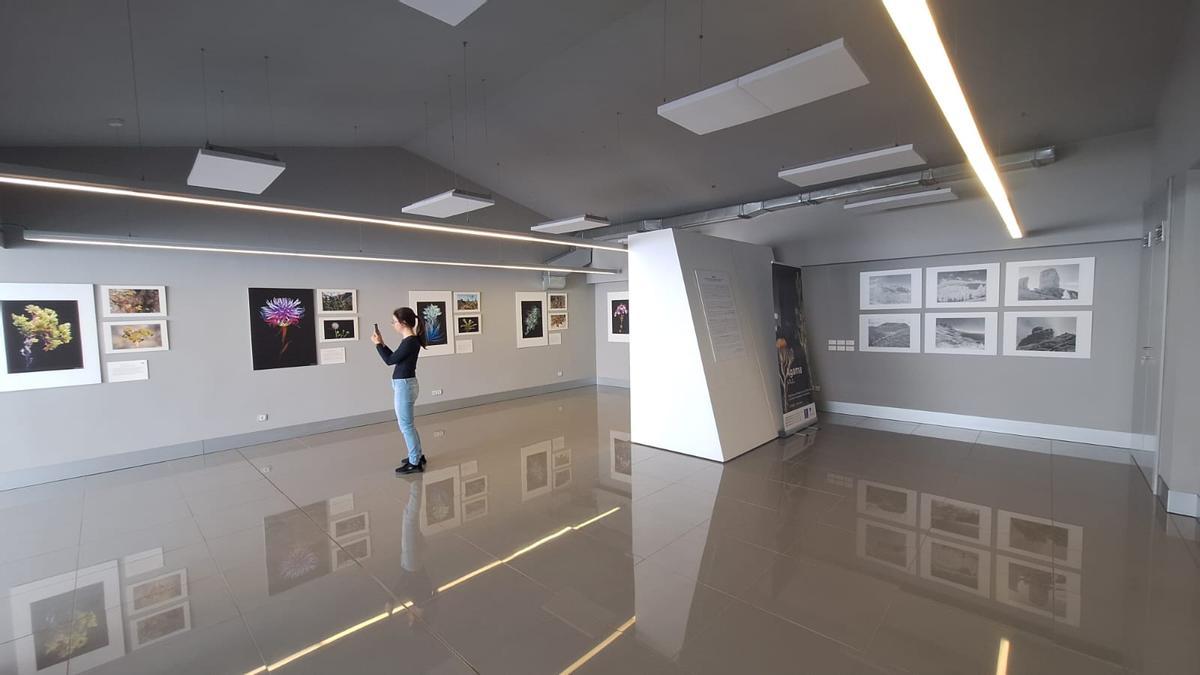 Una visitante en la muestra.