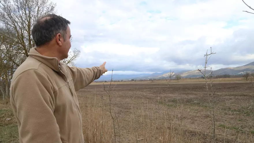 Vídeo: Els aiguamolls de l'Empordà viuen la pitjor sequera: 300 hectàrees de la reserva integral dels Estanys totalment seques