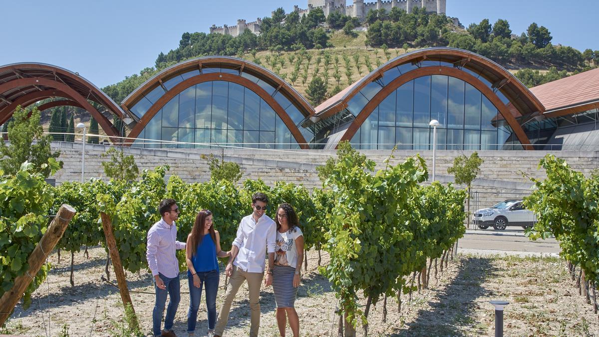 Bodega Protos, en la Ribera del Duero