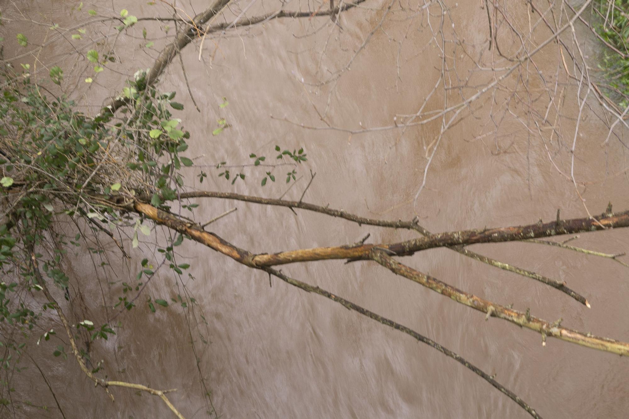 Temporal en la comarca de Avilés