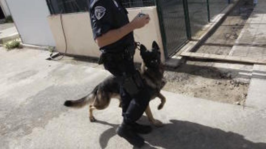 Polizeihunde doch nicht zur Adoption freigegeben