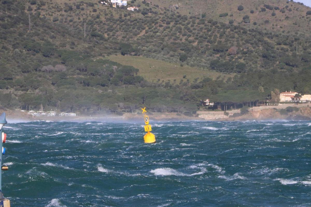 Les imatges dels efectes de la tramuntana a les comarques gironines