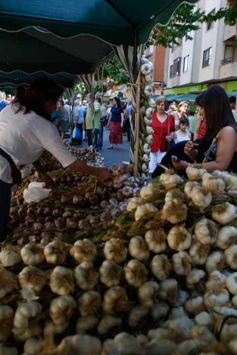 San Pedro 2016: Feria del Ajo