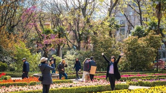 Este fin de semana puede ser la última oportunidad para disfrutar de los más de 26.000 tulipanes del Real Jardín Botánico