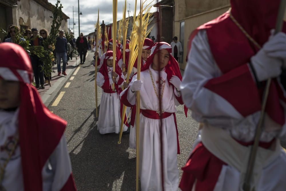 Semana Santa en la provincia 2019 | Domingo de Ram