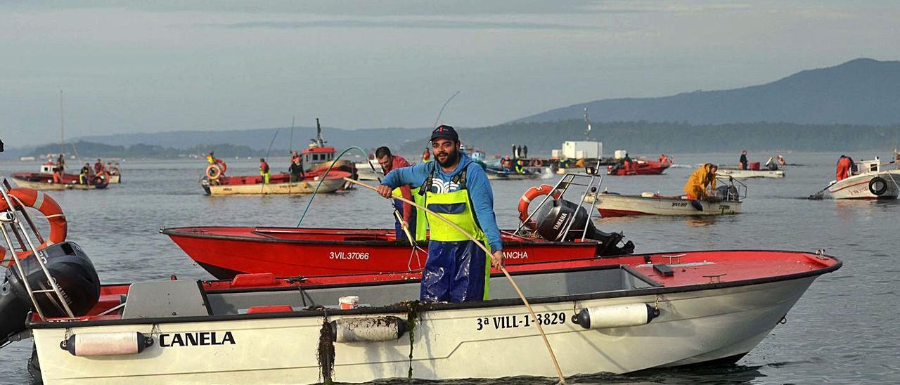 Mariscadores de a flote (rañeiros) en Os Lombos do Ulla (Carril).