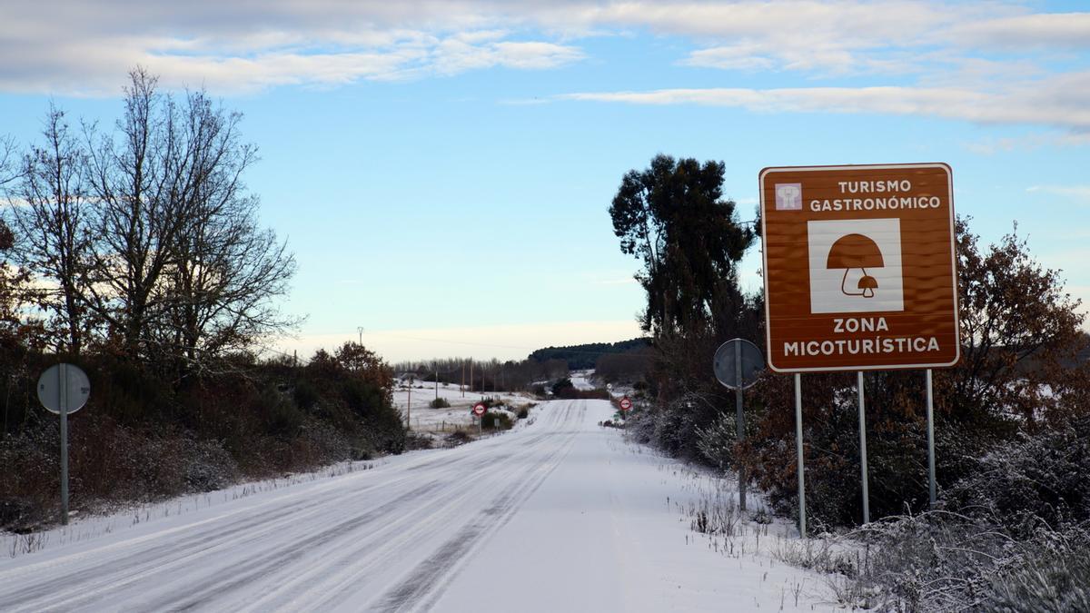 GALERÍA | La nieve del temporal Filomena llega a Aliste