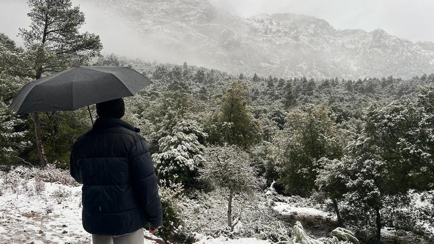 Mallorca registra la mayor nevada en cinco años