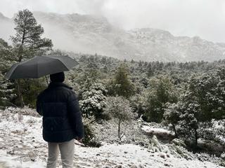 Mallorca registra la mayor nevada en cinco años