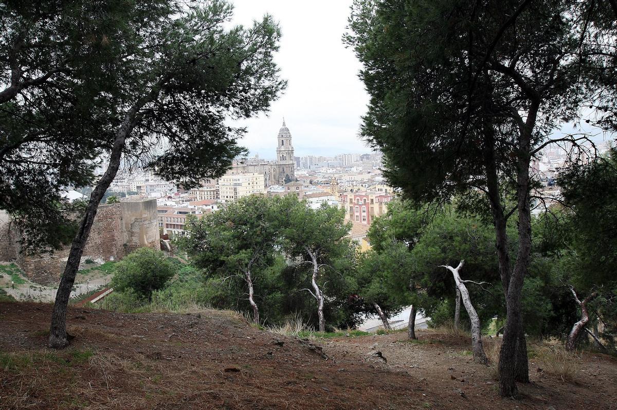 Vista de Málaga desde el Monte Gibralfaro.
