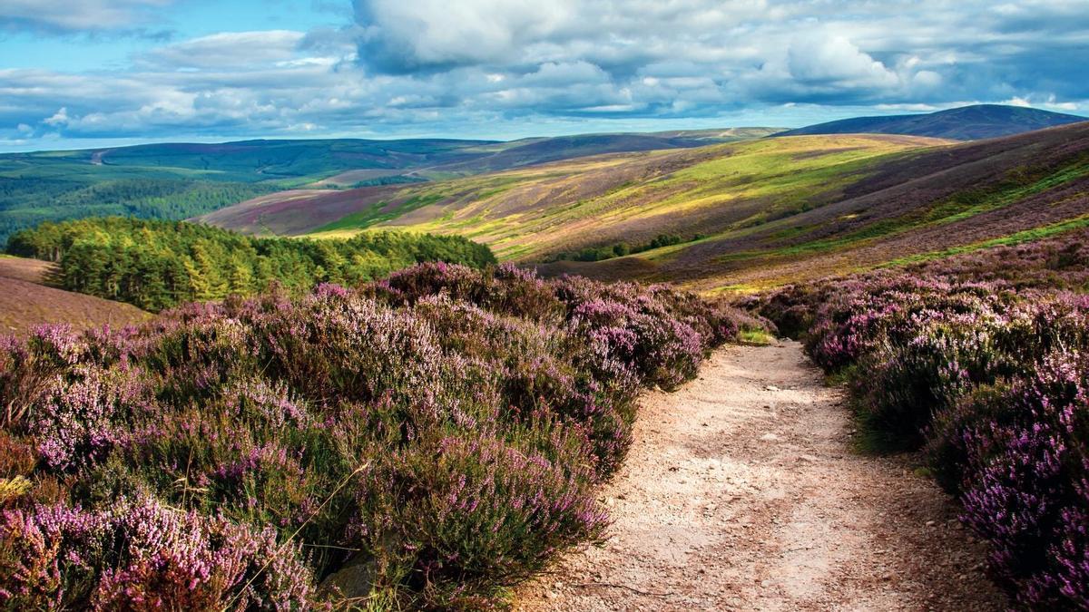 Macizo de Gien Dye, Cairngorms, Reino Unido, Paisajes reales