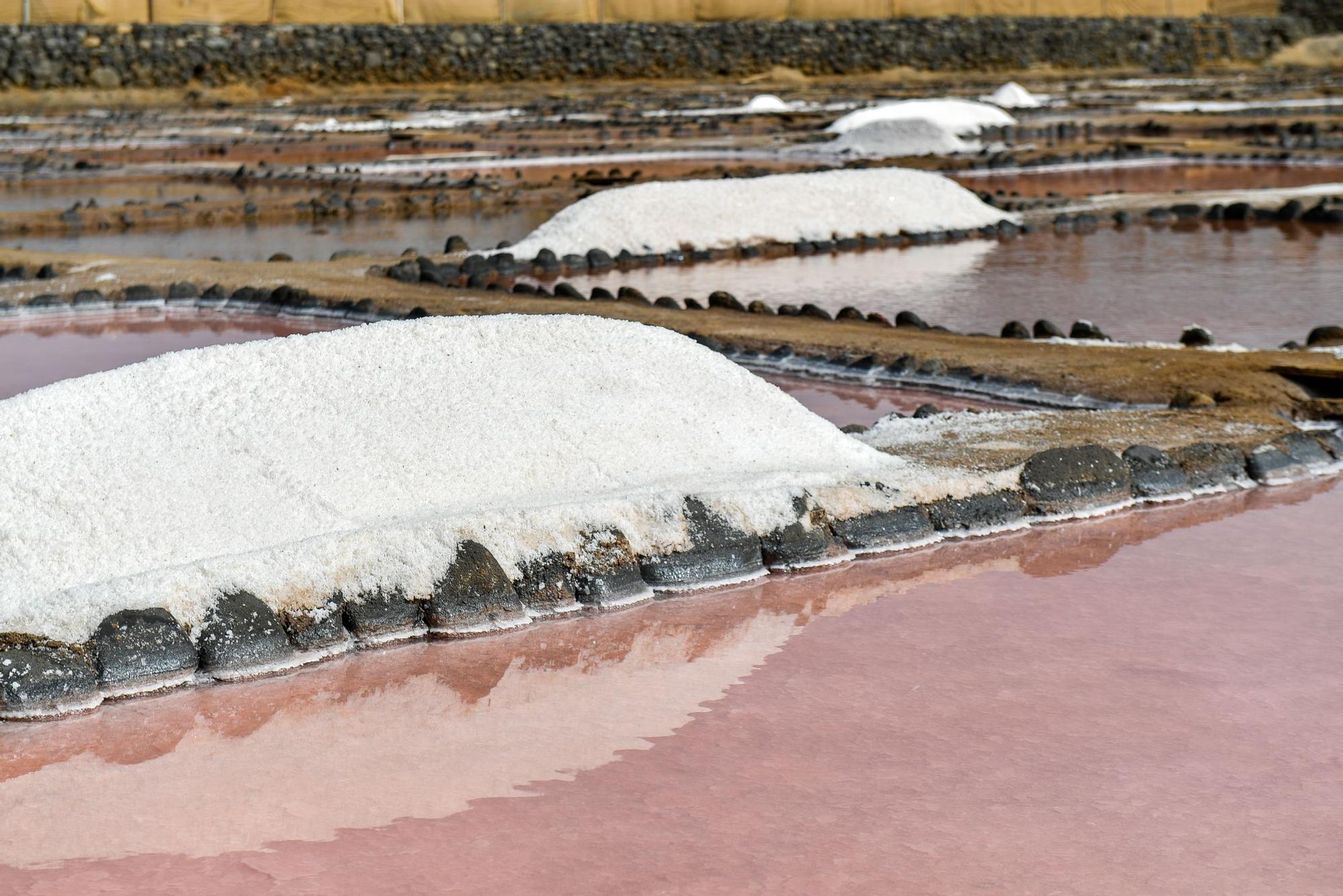 Salinas de Vargas