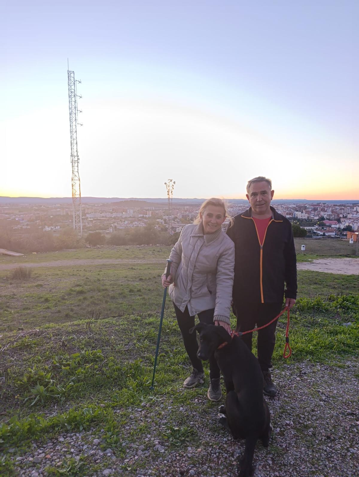 Galería | Así es Boss, el perro perdido en el entorno de Aliseda Galería | Así es Boss, el perro perdido en el entorno de Aliseda