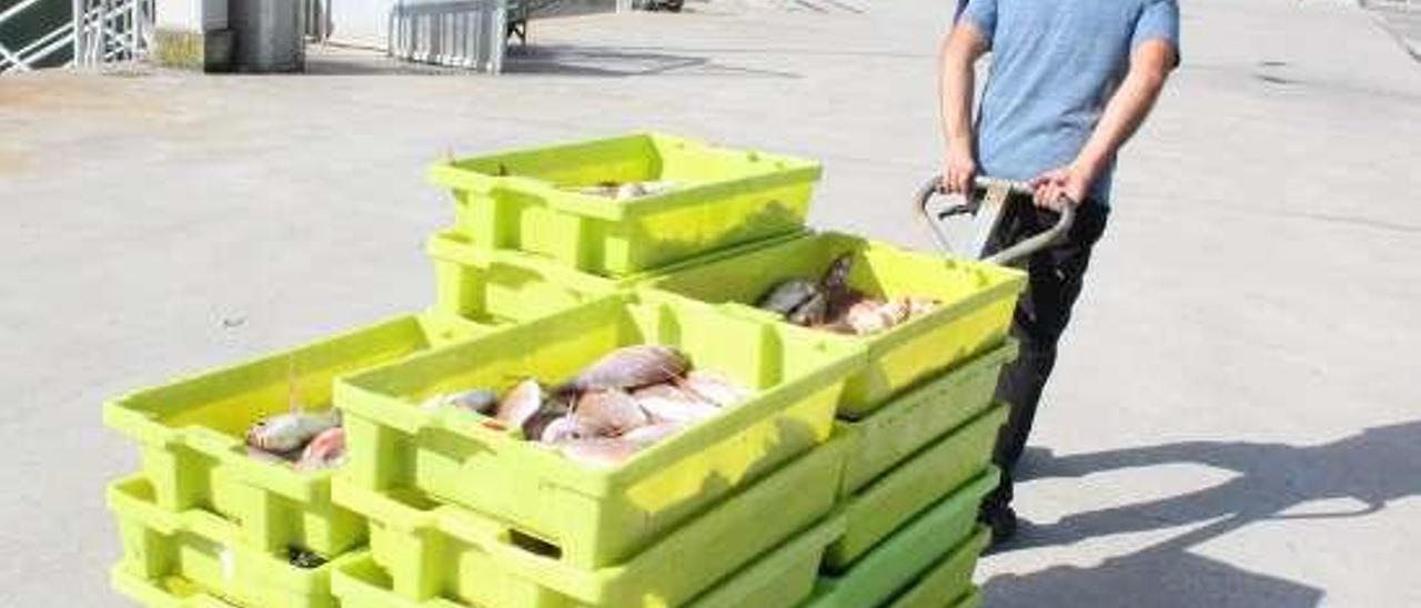 Descarga de pescado en el muelle candasín.