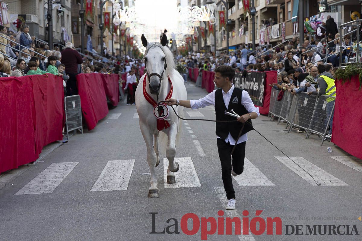 Fiestas de Caravaca | Desfile día 4 de mayo (Bando de los Caballos del Vino)