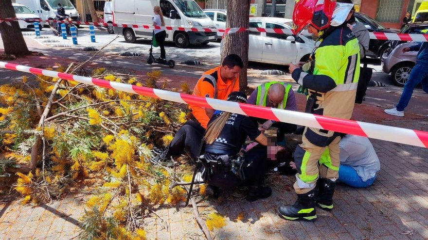 Una rama de árbol cae sobre una mujer en Don Juan de Austria