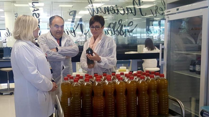 María Gámez y Antonio Luque, en su visita a Dcoop.