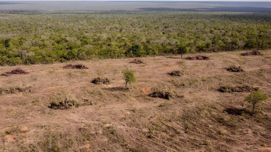 Una investigación saca a la luz un escándalo sobre el algodón ‘ecológico’ que usan Zara y H&amp;M