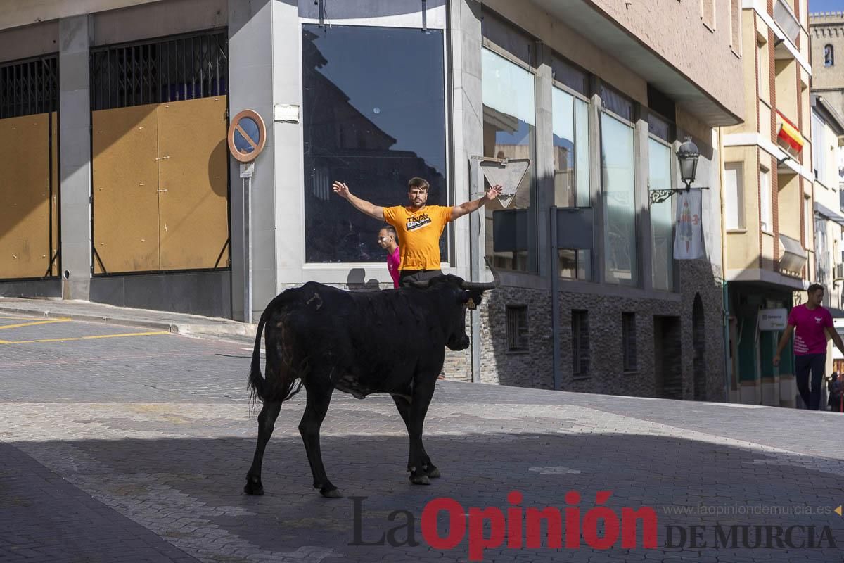 Cuarto encierro en las Fiestas de Moratalla