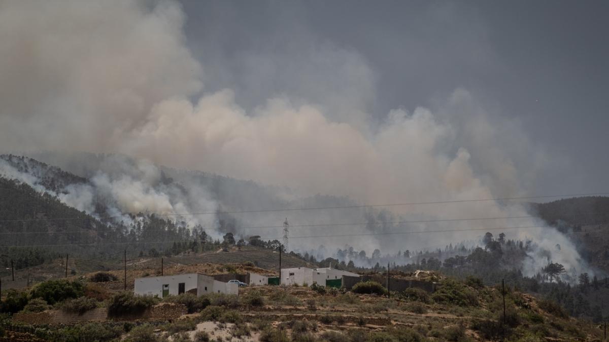 Incendio forestal en Arico