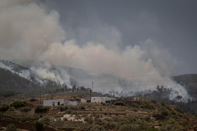 Incendio forestal en Arico