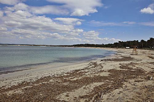 Was für eine Vorstellung: den berühmten Es-Trenc-Strand einmal ganz für sich allein haben. Den Anwohnern aber ist ganz anders zumute.