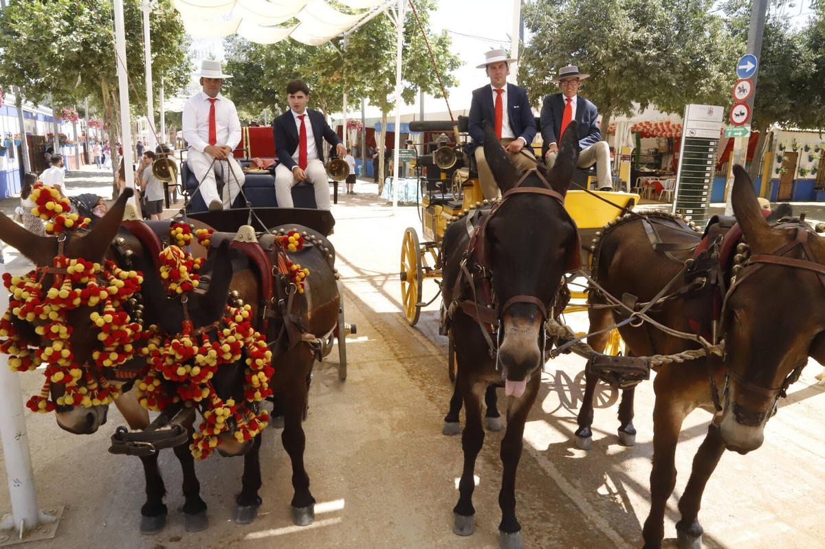 Sábado de fin de fiesta en El Arenal