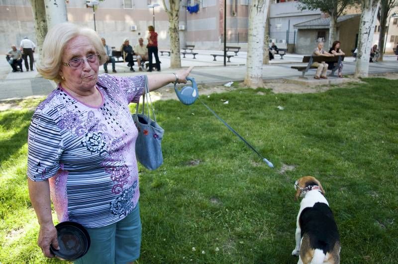 Fotogalería: Rechazo vecinal a la muerte del perro de Las Delicias