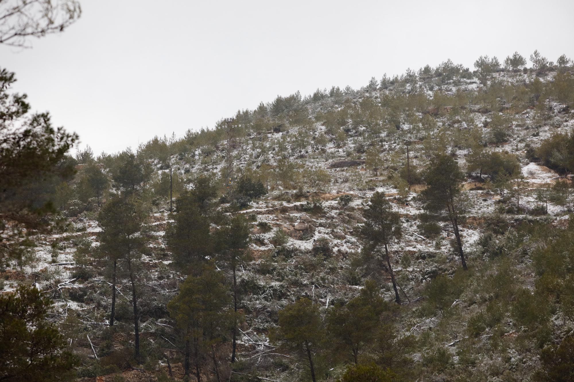 Galería de imágenes de la nieve por la borrasca Juliette en Ibiza